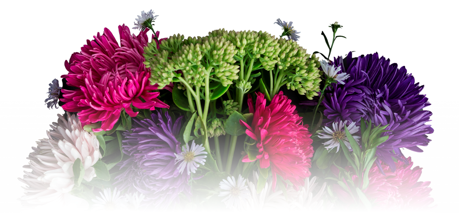 Training am 20.11.20: "Mode: Herbst-Winter-Trends 2020/2021"